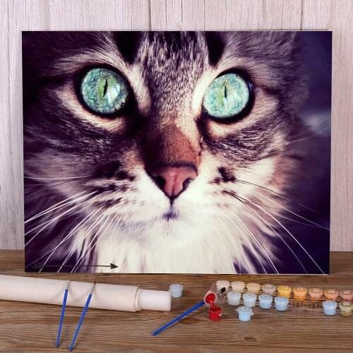 Cat Animal DIY Painting By Numbers Kit Acrylic Paints 40*50 Picture By Numbers Photo Home Decor For Kids For Drawing Art