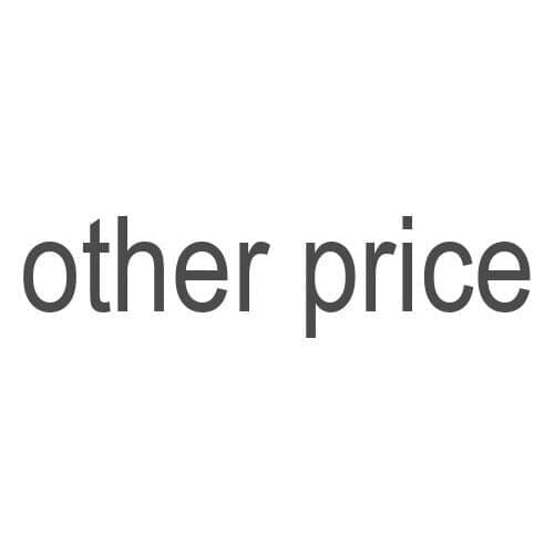 OTHER PRICE