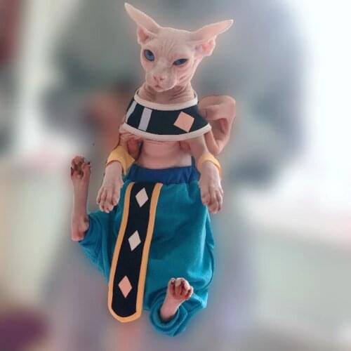 Cosplay Sphinx hairless cat custom cotton Cape crotch pants dragons cat clothes pet costume