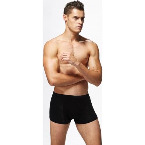 High-grade Fabric Sexy Low Waist Underwear Briefs hot sale brand Mens Seamless Briefs Ice Silk Underwear