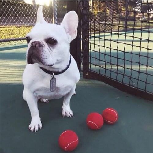 Fashion Funny Dog Pet Toys Training Tennis Ball Puppy Red Ball for French Bulldog Pug OT0032