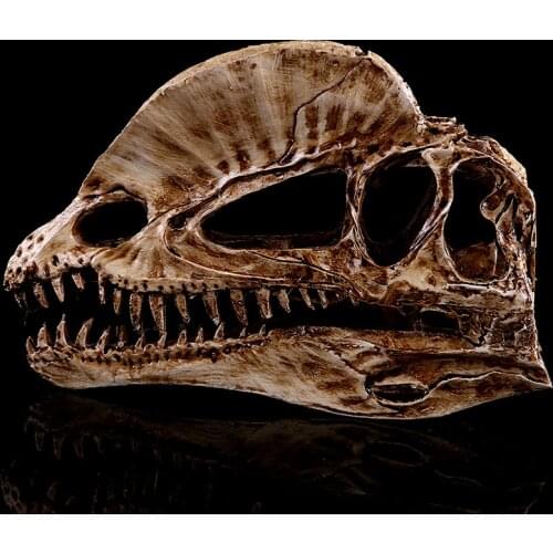 Dilophosaurus Ryrannosaurus Resin Dinosaur Skull Model Collection Size:20*8*12.5cm Handmade Antique Imitation Decoration
