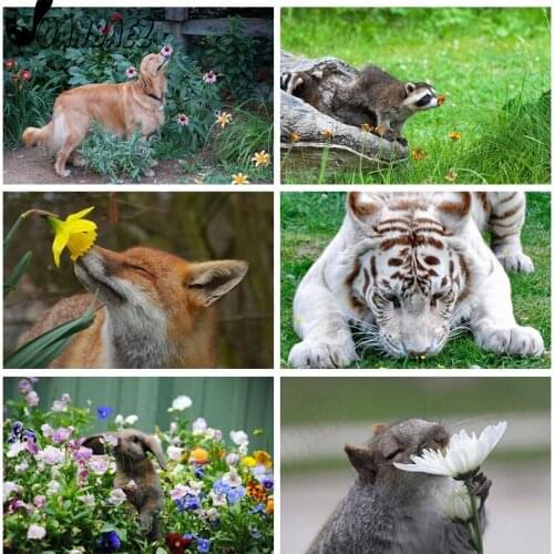 Animal Smelling Flower 5D Diy Diamond Painting Flower Cross Stitch Embroidery Dog Mosaic Inlaid Wall Art Craft Gift Home Decor