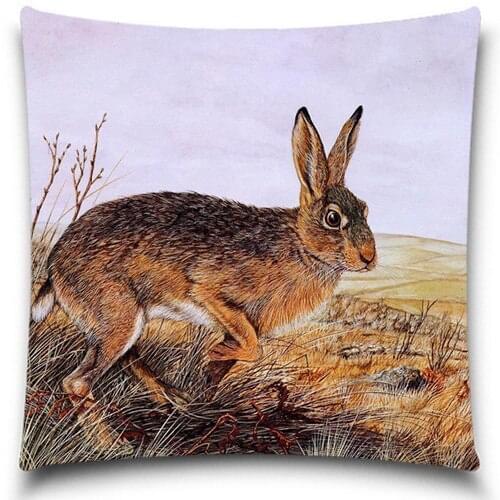 Wholesales Polyester Pillow Case Animal Rabbit Cushion Covers Home Decorative 5 size 9 style Christmas Halloween gift