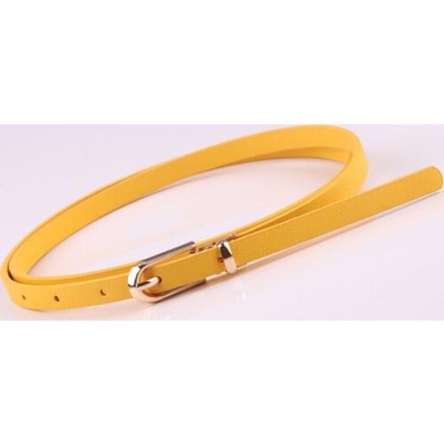 New Belt Women Fashion Thin Belt Ladies Alloy Pin Buckle Waistband Multicolor Optional Waist Straps Wild Dress