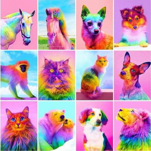 Evershine Diamond Painting Cat Rhinestone Art 5D DIY Diamond Embroidery Dog Animal Diamond Moasic Full Layout Home Decor Gift