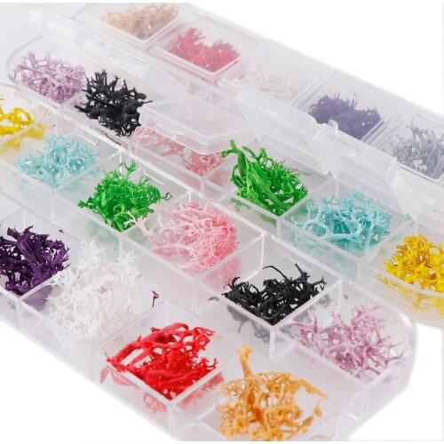 1 Box 24Pcs Nail Coral Dried Flowers Nail Art Decoration DIY Tips Small Flowers Nails Stickers For Manicure Tools