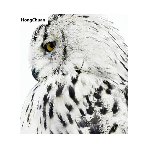Owl Animal Mural 5D DIY Square/Round Diamond Painting Mosaic Cross Embroidery Handicraft Home Decoration Christmas Gift