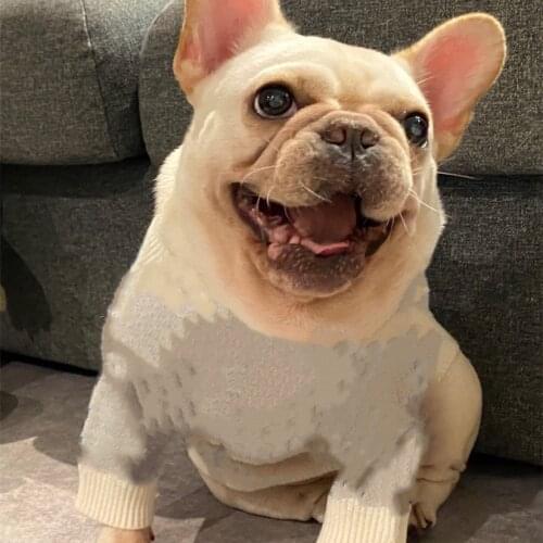 Dog Clothes Pet Dog Jacket Winter Warm Thick Cute Blue Letters Print Small Dog Cloth Costume apparel Puppy Kitten costume B1183