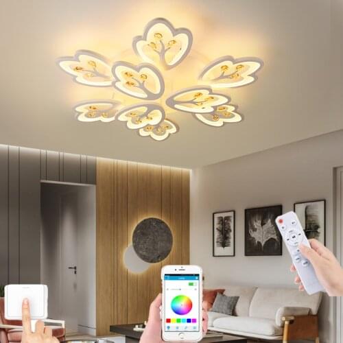 Modern bedroom living room kitchen household chandelier modern lighting LED ceiling lamp new product