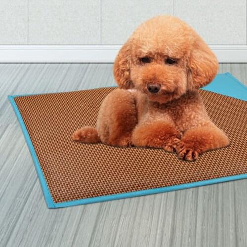 1PCS Pet Cooling Mat Creative Breathable Pet Sleep Mat Pet Sleep Pad Dogs Cat Washable Blanket Pet Sofa Cushion for Summer