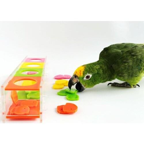 PipiFren Birds Toys Parrot Training Intelligence Separation Educational Toy Random Color juguetes para pajaro speelgoed vogel