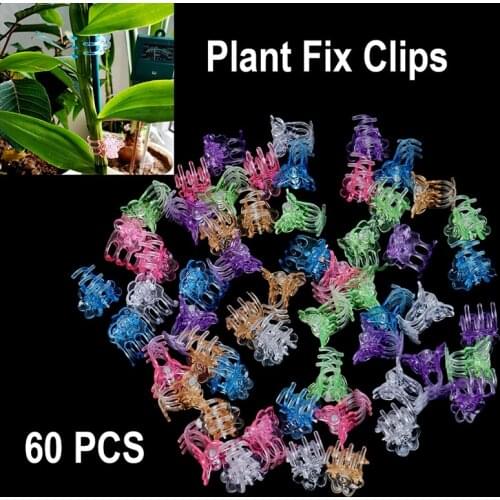 60Pcs/Bag Orchid Grower Flowers Fruit Vine Support Plastic Plant Fix Clips Orchid Clips Garden Support Clips