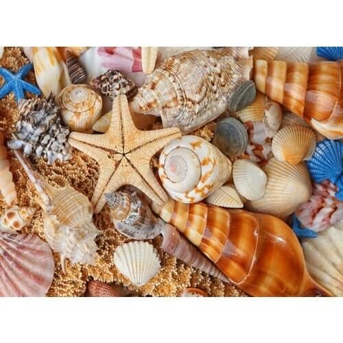 Nova Puzzle Kumsaldan Bana Survivor 1000 Piece Jigsaw Puzzle