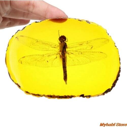 Amber Insect Ornament Collection Gift DIY Dragonfly Scorpion Artificial Fossil Insect Sliced Ornament for Home Decoration Crafts