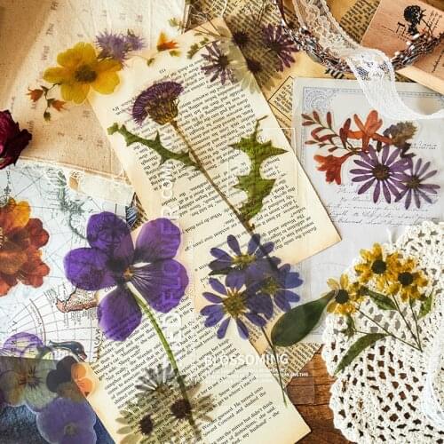 6pcs/pack Vintage INS Plants flower PET big stickers package DIY diary Journal decoration label sticker album scrapbooking