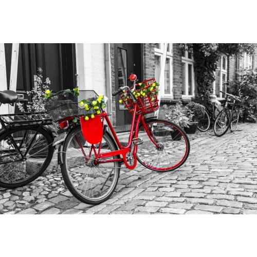 Nova Puzzle 1000 Pieces Red Bicycle Adult Jigsaw Puzzle - Red bicycle puzzle with flowers on the street in black and white