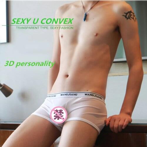 WJ Mens Solid Colour Underwear Low Waist Gauze Transparent U Convex Pouch Sexy Boxers