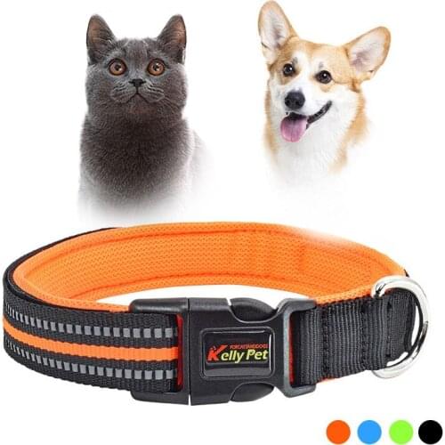 Dogs Accessories Luminous Collar Nylon Luxury Designer For Cats Puppy Necklace French Bulldog Pug Pet Supplies All Seasons Solid