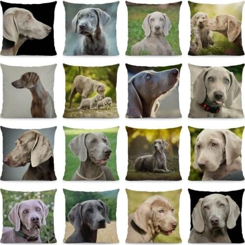 Cute Weimaraner Pillowcase Decorative Throw Pillow Cover Dog Print Cushions Home Decor 45x45cm DWG058