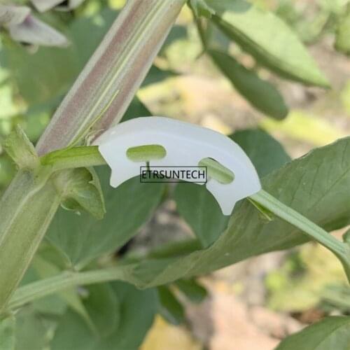 50Set Greenhouse Tomato Clips Garden Supplies Agriculture Fruit Vine Strengthen Clips Plant Growth Fixed Clip Tool