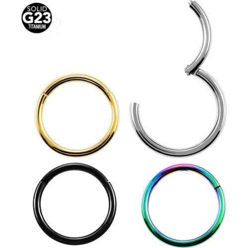 1PC 16G Hinged Segment Ring Titanium Septum Clicker Piercing Nose Lip Ear G23 Titanium Solid Nose Piercing Body Piercing Jewelry