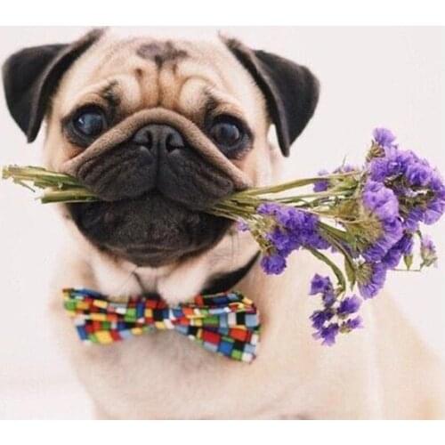 Diamond Painting Dog 5D DIY Full Square Diamond Embroidery Sale Animals Rhinestone Picture Cross Stitch Kit Home Decor