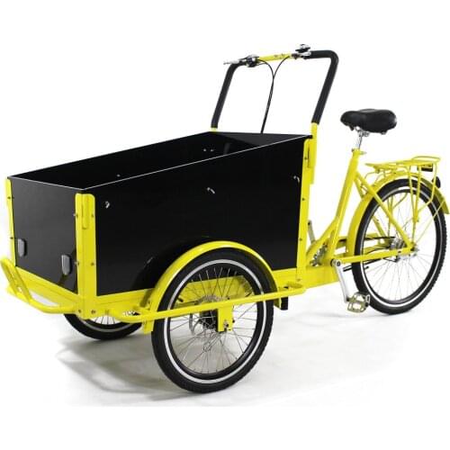Europe Electric Cargo Bike Family Adult Tricycle for Children Transport and Grocery Shopping 4 Seats or 2 Seats Can Custom