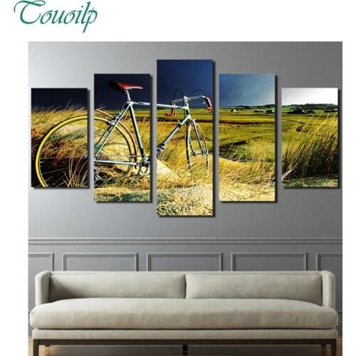 2018 new 5pcs 5D Diy Diamond Cross Diamond Rhinestone Diamond Mosaic Bicycle grassland sunset landscape Round&Square Home Decor