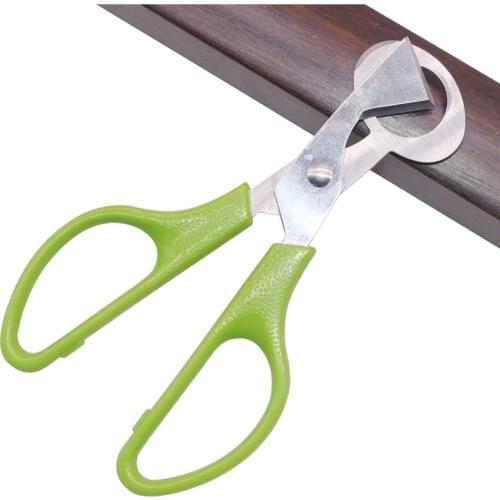 1 pcs Animal husbandry hand tools Stainless steel Egg opener Scissors Bird eggs Quail eggs Pigeon eggs Kitchen scissors