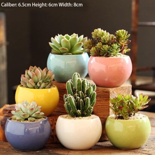 Flower pots creative colored balls succulent flower pots ceramic pots tea table office gardening potted ornaments