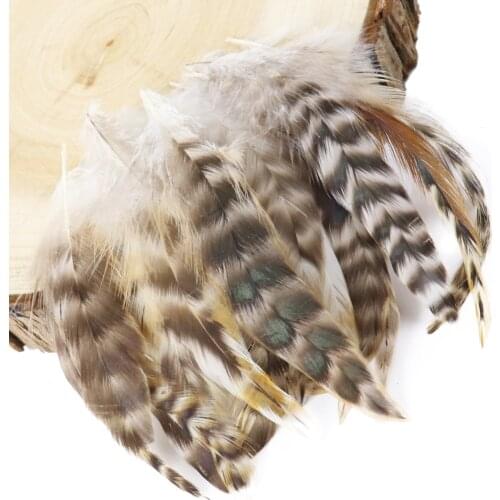 Wholesale 50pcs Multi style Chicken Rooster Feather 4-6 inch Jewelry Decoration Making Natural Pheasant Feathers for crafts