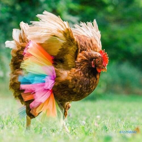 Chicken Costume Skirt Tutu Coop Hen Decoration Halloween Cosplay Dress Party Props Poultry Feather Protector Cute Chick Skirt