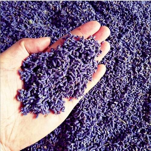 Grain Bulk Lavender Natural lasting Lavend Natural Lavender Dried flower Dried Filling 1 Ounces Real