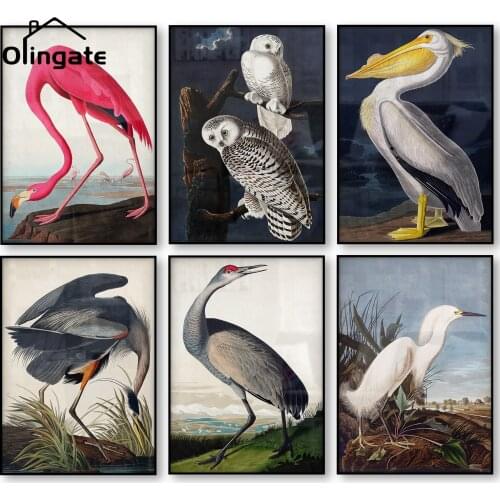 Bird Posters Pink Flamingo Snowy Owl Pelican Blue Heron White Egret Vintage Bird Canvas Print Audubon Canvas Painting Wall Art