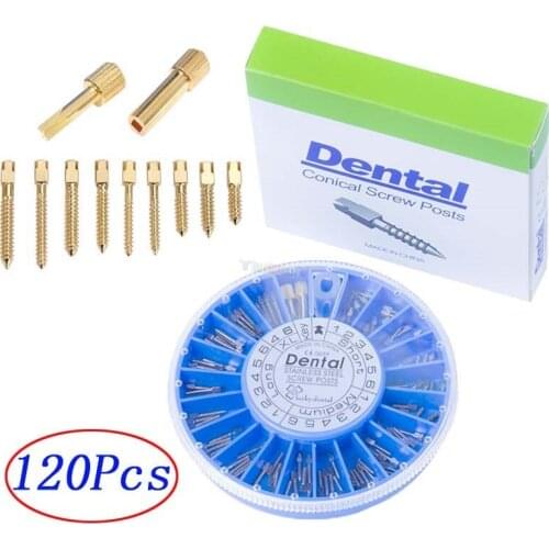 120pcs Dental Tools Dental Repair Stainless Steel Root Canal Nail Pile Fixed Pin dental Material