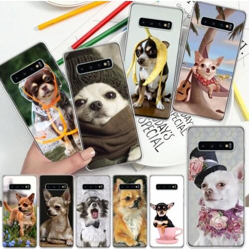Cute Chihuahua Puppy Teacup Dogs Soft Cover Phone Case For Samsung Galaxy S10 S21 S20 FE S9 S8 S7 Note 10 9 8 Plus Ultra Lite J4