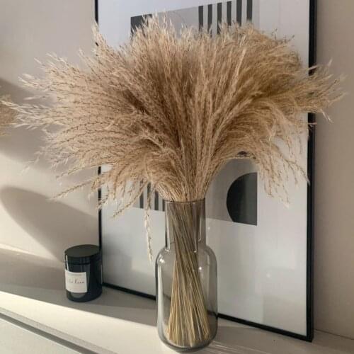 Real Dried Small Pampas Grass Wedding Bunch Natural Plants Home Decor Dried artificial Flowers Phragmites Flower Ornamental