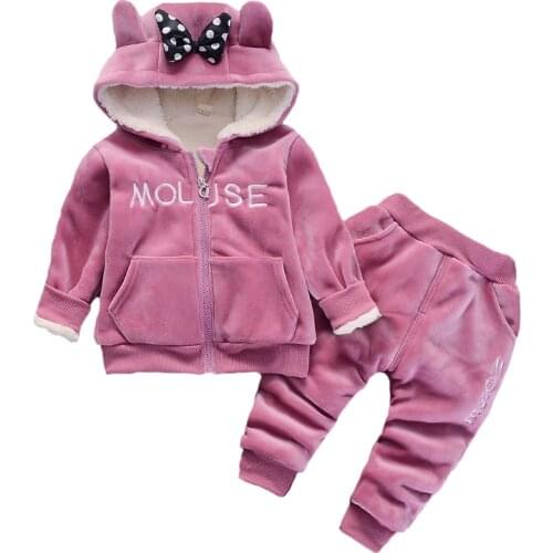 Spring Warm Girls Clothing Set Thick Plush lining Cotton Clothing Sets For Baby Girls Hoodies And Pants Toddler Kids Suit
