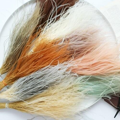 1 Bouque Real Feather Grass Preserved Flowers,Dry Natural Immortal Plant,Filamentou Forver Flower Bouquet Wedding Decoration