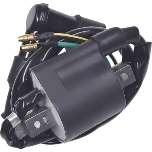 12V Ignition Coil For 50CC 70CC 90CC 110CC 125CC Pit Dirt Bike ATV Quad Go Kart