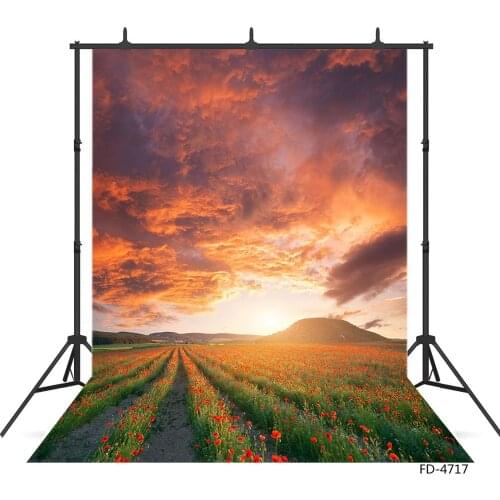 Photographic Background Flowers Mountain Cloudy Vinyl Cloth Backdrops Photo Studio for Children Baby Portrait Scenery Photocall