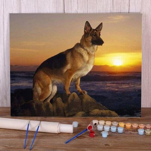 Animal German Shepherd Paint By Numbers Complete Kit Oil Paints 50*70 Canvas Painting Wall Decoration For Kids Handiwork