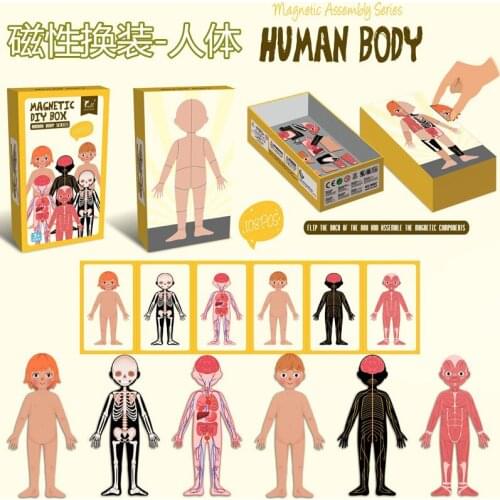 Magnetic Human Body Puzzles Organ for DIY Each Piece is Changeable Gifts Kids Educational Toys STEM Montessori Bones Model Girls