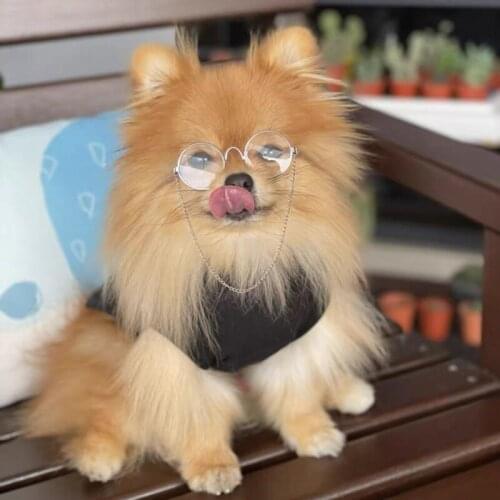 Pet Dog Puppy Spring Summer T-shirt Jersey Shirt For Small Medium Dogs French Bulldog Schnauzer Corgi Pug Chihuahua ZJC29