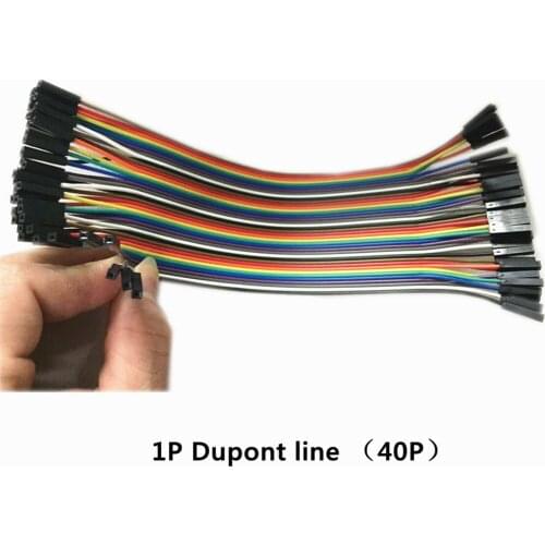40P Dupont Line Female 1P Plastic Shell 20CM Connection Wire