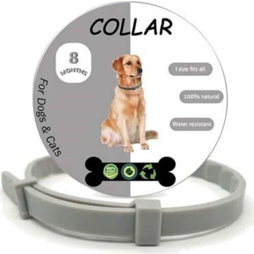 8 Months Protection Anti Flea Anti Mosquito Insect Waterproof Pet Essential Oils Collar for Dogs Pet Cat Pest Control Collar 35