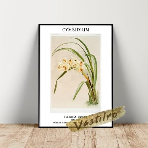 Frederick Sander Poster, Cymbidium Hybridum Winnianum Art Prints, Sander Orchid Illustration Picture, Vintage Flower Wall Art