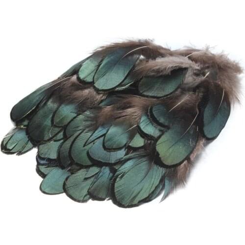 JX-LCLYL 50pcs/set Beautiful Natural Pheasant Tail Green Feathers