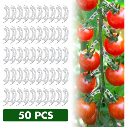 50pcs/lot Vegetables Tomato Fixing Clips to Prevent Bending Support Clamp Fruit Flower Green Plant Seedling Reinforcement Clip